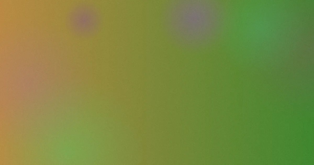 韩国特级毛片是什么